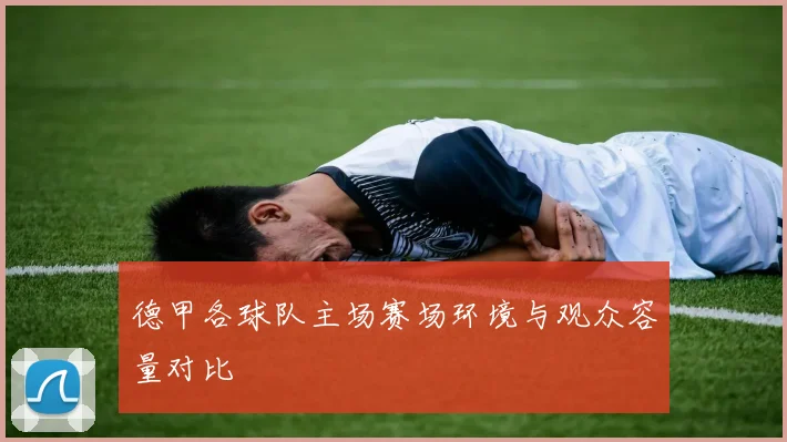 德甲各球队主场赛场环境与观众容量对比