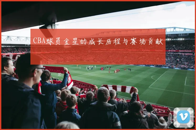 CBA球员金星的成长历程与赛场贡献