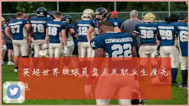 英超世界级球员盘点及职业生涯亮点