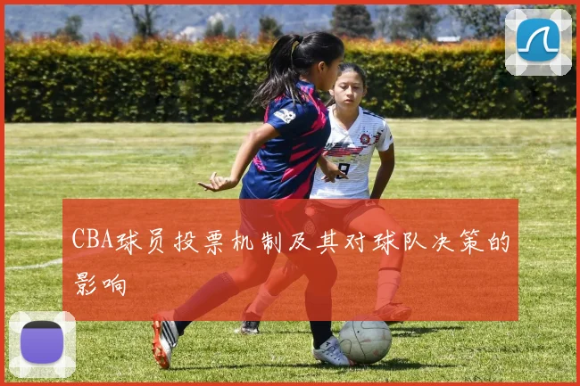 CBA球员投票机制及其对球队决策的影响