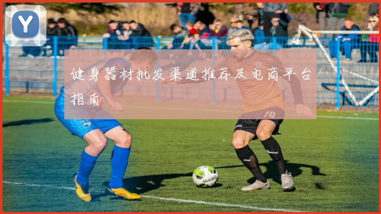 健身器材批发渠道推荐及电商平台指南