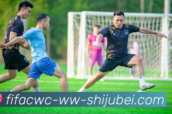 世界杯直播平台生态图