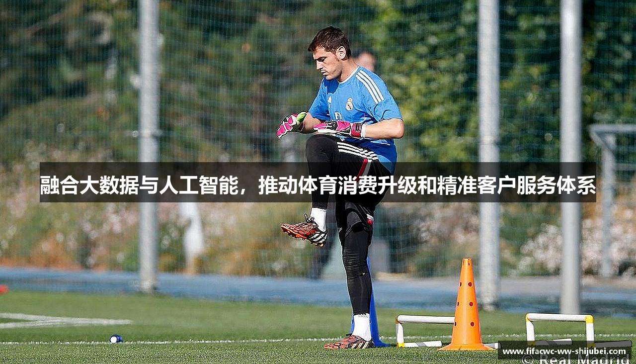 融合大数据与人工智能，推动体育消费升级和精准客户服务体系